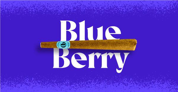 Doinks Blueberry 💙