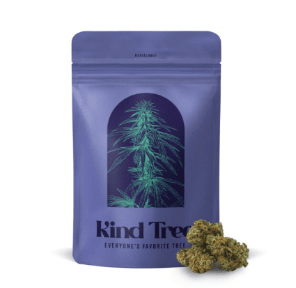 Kind Tree | Flower | Buds | Filthy Animals |