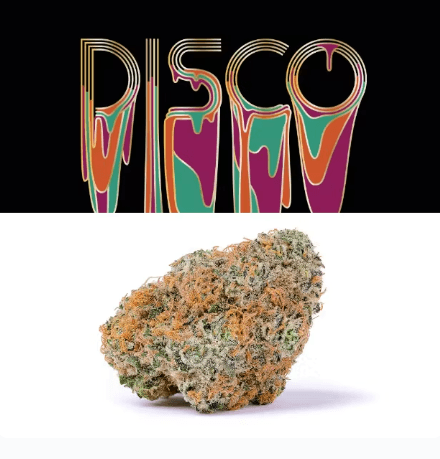 Disco